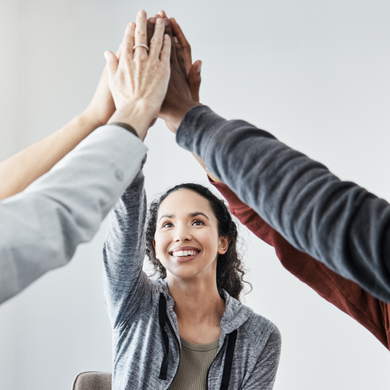 Izzys House Structure